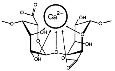 calcium alginate