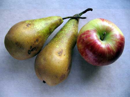 apple-pear.jpg