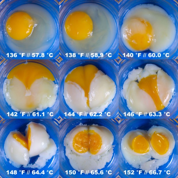 eggmatrix136f-152f-with-temperatures