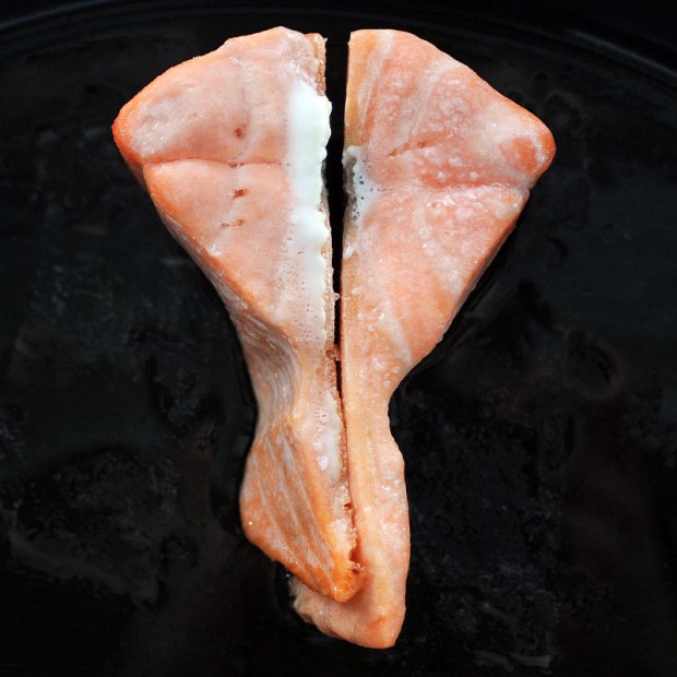 salmon-unbrined-brined