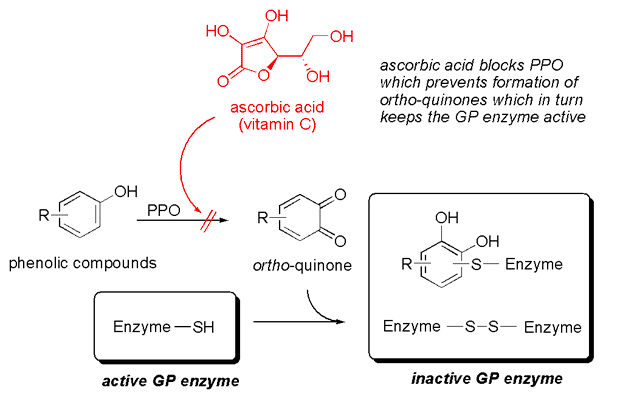 PPO-ascorbic-acid